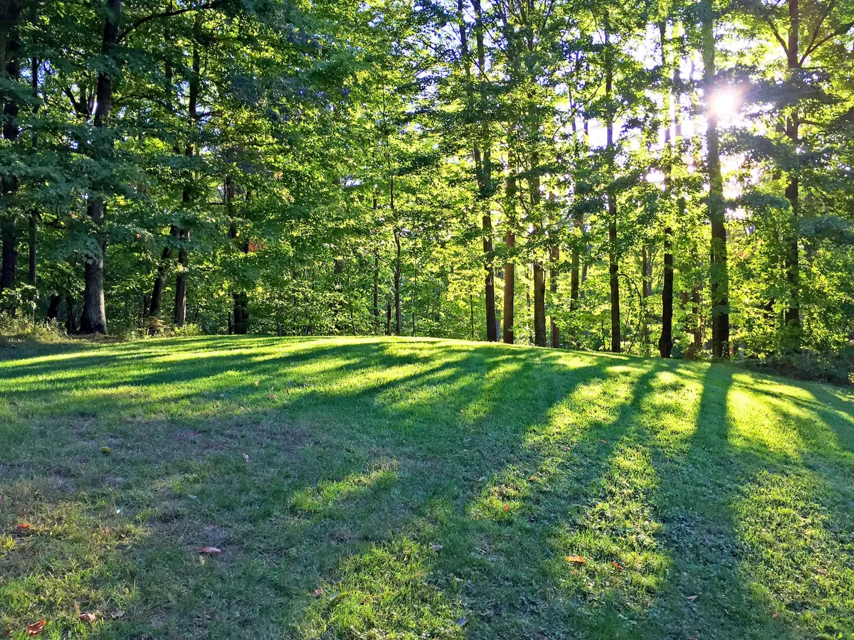 A peaceful exterior shot with lush green grass, tall trees, and sunlight streaming through the leaves. The area exudes tranquility and offers a perfect setting for picnicking, nature walks, or simply relaxing amidst nature.