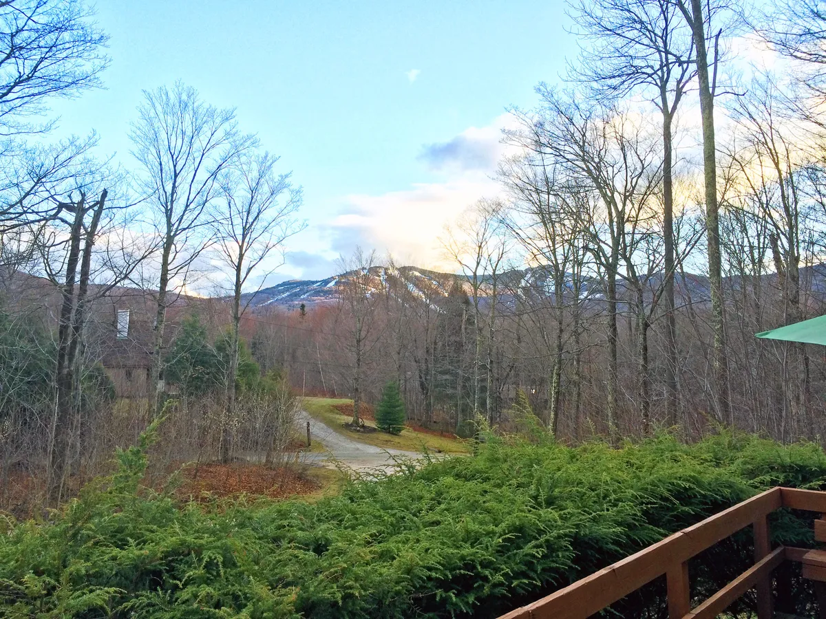 A sweeping view of a mountain range bordered by a line of trees and a meandering pathway through green grass. The scene is peaceful and highlights the natural beauty accessible from the property—perfect for hiking, exploring, or simply relaxing outdoors as a family.
